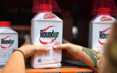 Bayer reaches deal to settle 85,000 cancer lawsuits over Roundup weedkiller