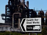 ALEX BRUMMER: Tata tests Sunak’s model with Port Talbot steel plant