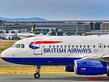 BA owner to halve £900m offer for its
Spanish rival