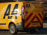 US private equity giants battle over the AA