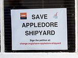 Appledore shipyard to reopen after being rescued in £7m deal