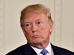 ALEX BRUMMER: Easy money could help Donald Trump