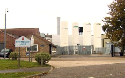 Coronavirus: Banham Poultry factory Covid-19 outbreak 'has not spread'