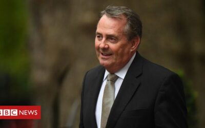 Liam Fox still in running for WTO chief as race narrows