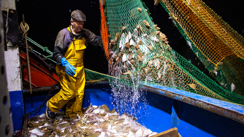 Trawler fishing in the English Channel, August 2020