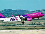 Wizz Air will create 5,000 jobs if it lands extra slots at Gatwick