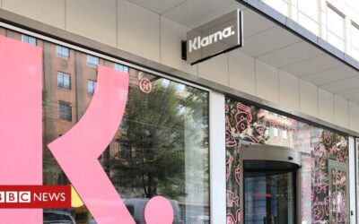 Privacy watchdog to probe Klarna after email backlash