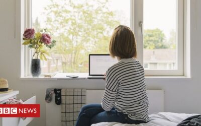 Home working here to stay, study of businesses suggests