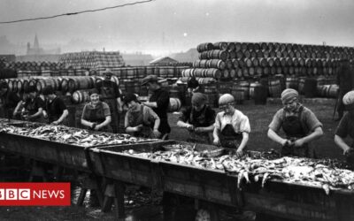 Lowestoft fishing industry 'needs new apprenticeships to grow'