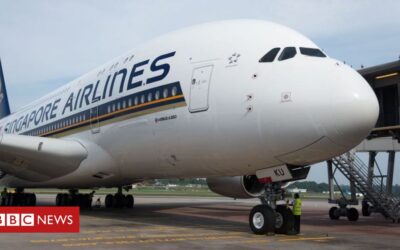 Singapore Airlines sells out meals on parked plane