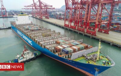 Covid-19: Chinese trade grows as others struggle amid pandemic