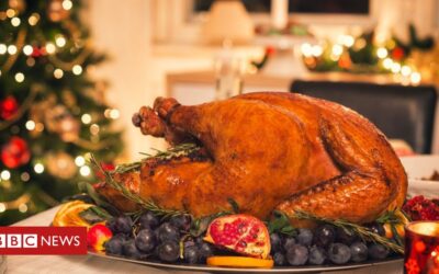 Shortage of poultry workers could hit Christmas dinner