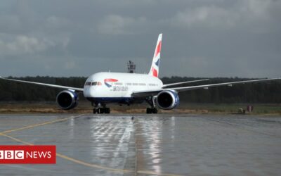 British Airways owner IAG cuts flight numbers again