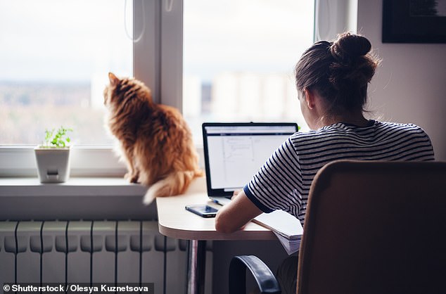 Demand: More people are working from home now, leading to an increase in internet usage