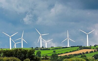 National Grid warns lack of wind could plunge Britain into darkness 