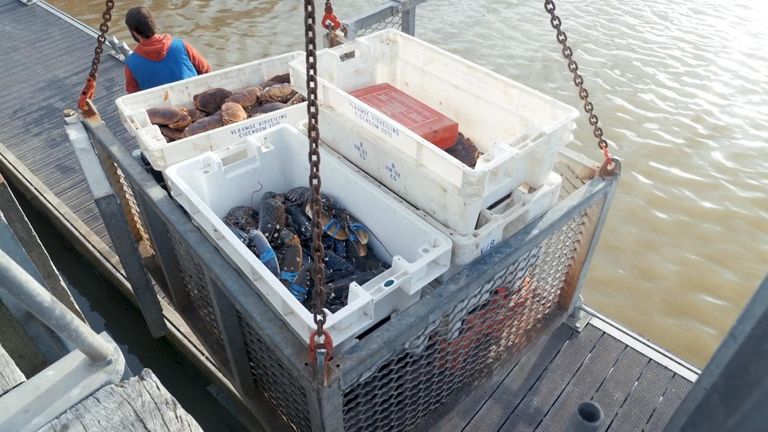 Boulogne is France's busiest fishing port 