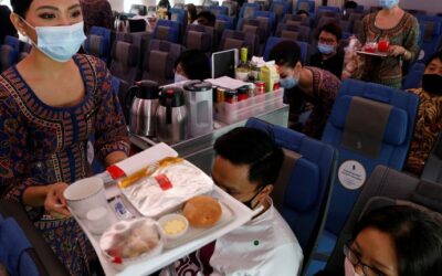 Plane food sold in shops and 'flights to nowhere' – airlines try to stem pandemic losses